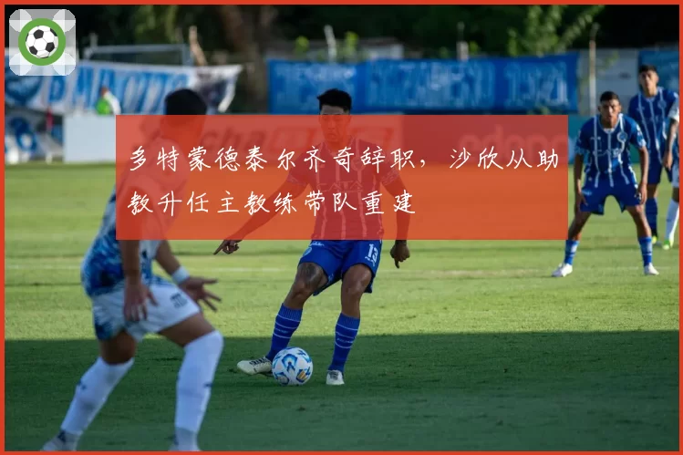 多特蒙德泰尔齐奇辞职，沙欣从助教升任主教练带队重建