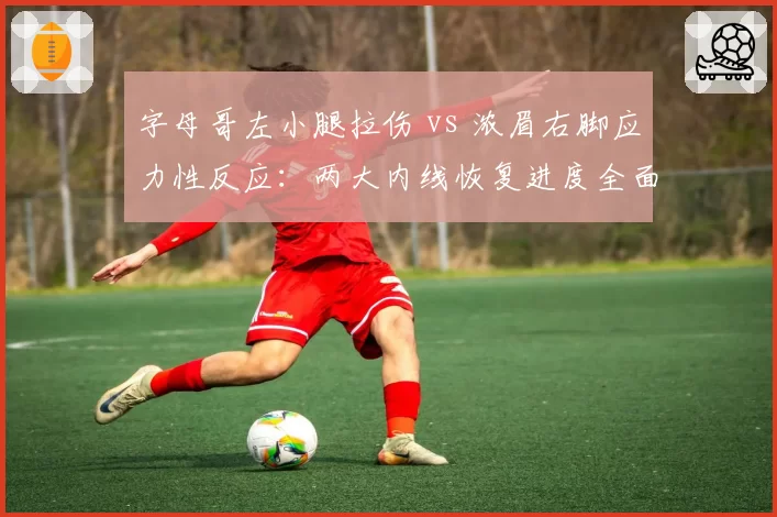 字母哥左小腿拉伤 vs 浓眉右脚应力性反应:两大内线恢复进度全面对比