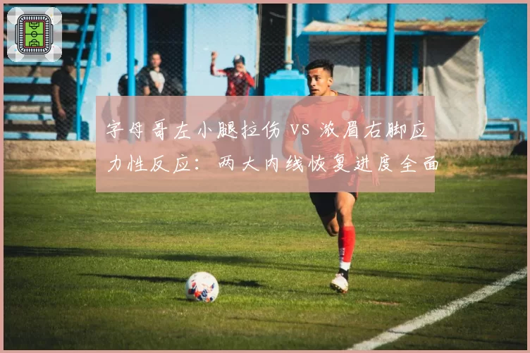 字母哥左小腿拉伤 vs 浓眉右脚应力性反应:两大内线恢复进度全面对比