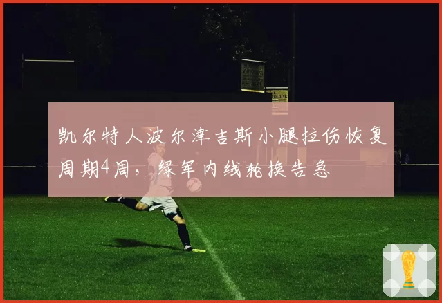 凯尔特人波尔津吉斯小腿拉伤恢复周期4周,绿军内线轮换告急
