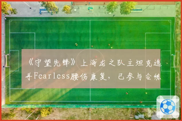 《守望先锋》上海龙之队主坦克选手Fearless腰伤康复,已参与合练