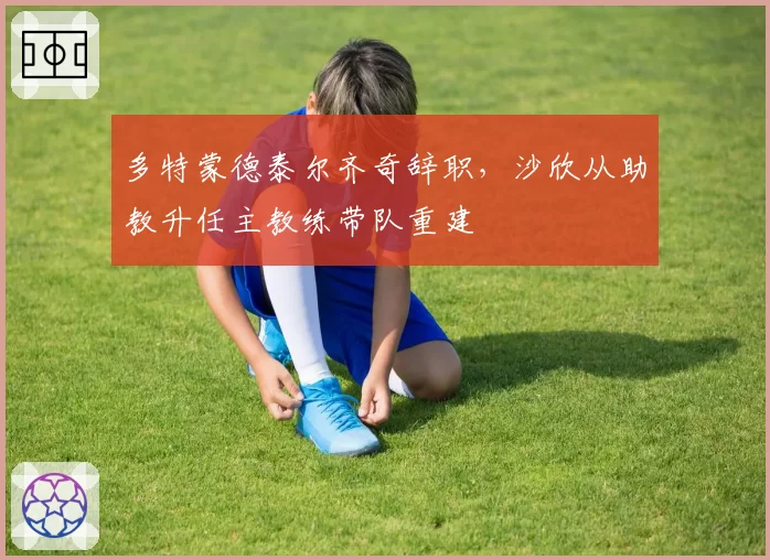 多特蒙德泰尔齐奇辞职，沙欣从助教升任主教练带队重建