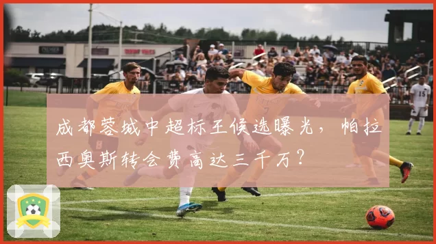 成都蓉城中超标王候选曝光，帕拉西奥斯转会费高达三千万？